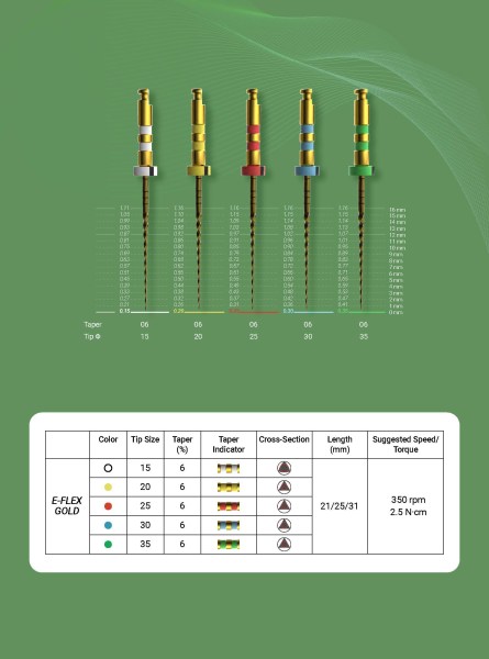 E-FLEX GOLD EN kicsi_Oldal_4